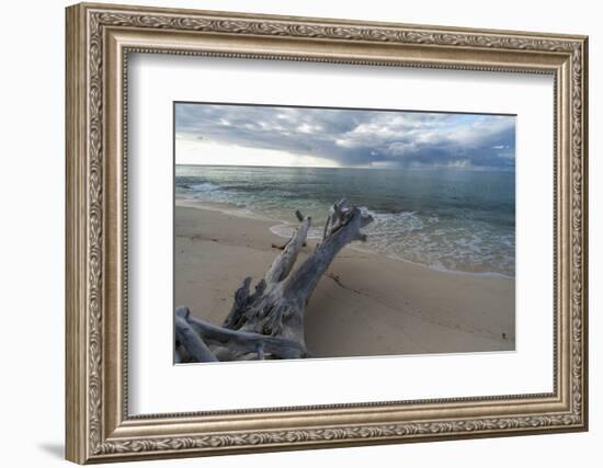 Denis Island, Seychelles-Sergio Pitamitz-Framed Photographic Print