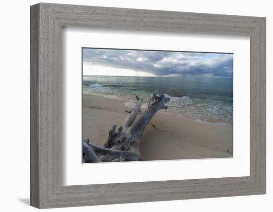 Denis Island, Seychelles-Sergio Pitamitz-Framed Photographic Print