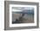 Denis Island, Seychelles-Sergio Pitamitz-Framed Photographic Print