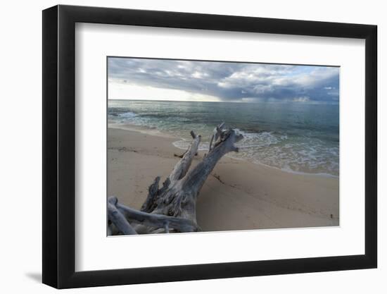 Denis Island, Seychelles-Sergio Pitamitz-Framed Photographic Print