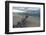 Denis Island, Seychelles-Sergio Pitamitz-Framed Photographic Print