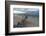 Denis Island, Seychelles-Sergio Pitamitz-Framed Photographic Print