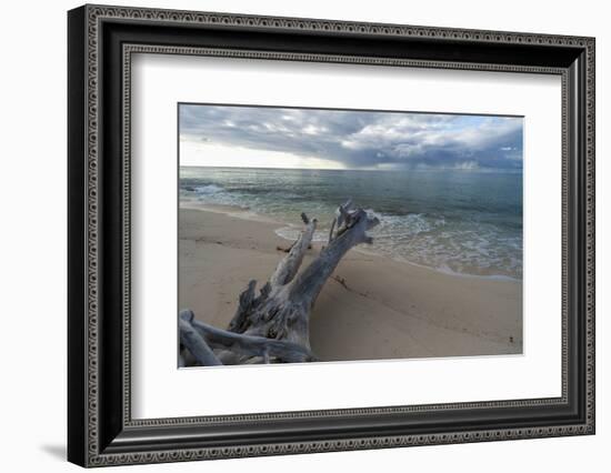 Denis Island, Seychelles-Sergio Pitamitz-Framed Photographic Print