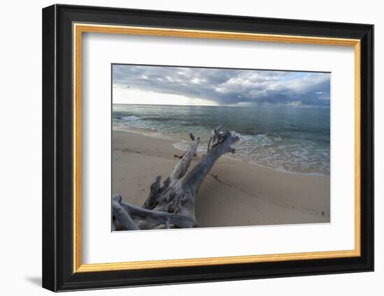 Denis Island, Seychelles-Sergio Pitamitz-Framed Photographic Print