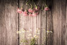 Roses and Daisies on a Wooden Table Horizontal-Denis Karpenkov-Photographic Print
