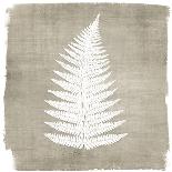 Natures Fern 2-Denise Brown-Art Print