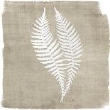 Natures Fern 2-Denise Brown-Art Print