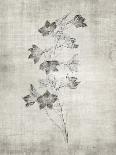 Sepia Botanical 2-Denise Brown-Art Print