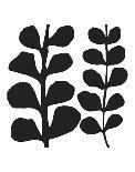 Maidenhair (white on black)-Denise Duplock-Stretched Canvas