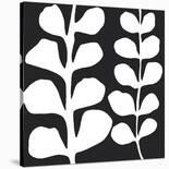 Maidenhair (black on white)-Denise Duplock-Art Print