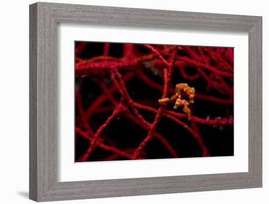 Denise Family-null-Framed Art Print