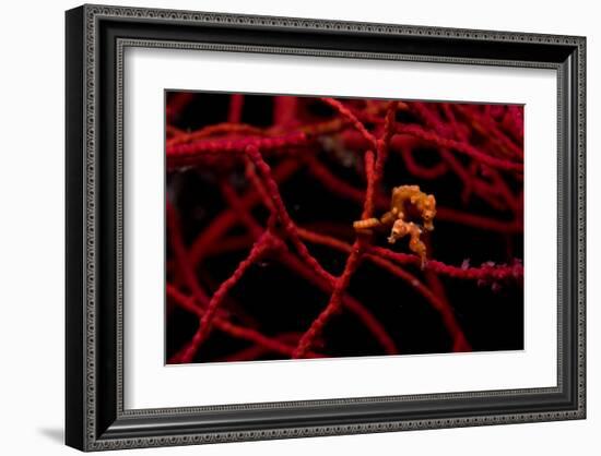 Denise Family-null-Framed Art Print