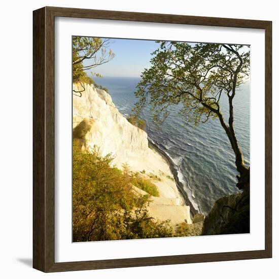 Denmark, Island M¿n, the Chalk Rocks of M¿ns Klint, Tree in the Abbruchkante-Andreas Vitting-Framed Photographic Print