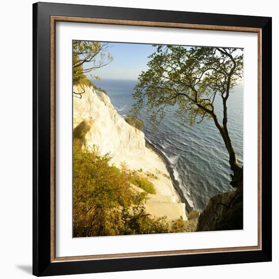 Denmark, Island M¿n, the Chalk Rocks of M¿ns Klint, Tree in the Abbruchkante-Andreas Vitting-Framed Photographic Print