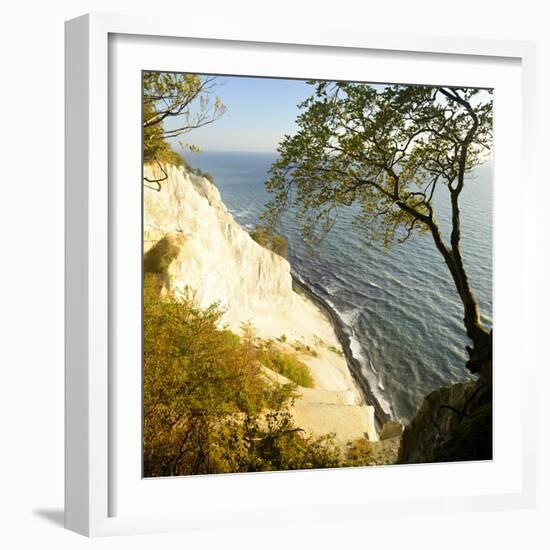 Denmark, Island M¿n, the Chalk Rocks of M¿ns Klint, Tree in the Abbruchkante-Andreas Vitting-Framed Photographic Print