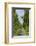 Denmark, Jutland, Avenue of Birches, Country House-Chris Seba-Framed Photographic Print