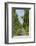 Denmark, Jutland, Avenue of Birches, Country House-Chris Seba-Framed Photographic Print