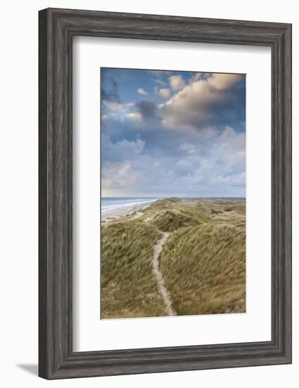 Denmark, Jutland, Danish Riviera, Hvide Sande, Coastal Dunes, Dusk-Walter Bibikow-Framed Photographic Print