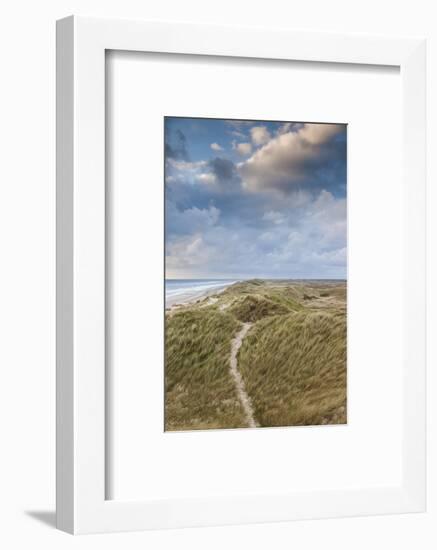Denmark, Jutland, Danish Riviera, Hvide Sande, Coastal Dunes, Dusk-Walter Bibikow-Framed Photographic Print