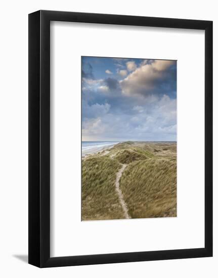 Denmark, Jutland, Danish Riviera, Hvide Sande, Coastal Dunes, Dusk-Walter Bibikow-Framed Photographic Print