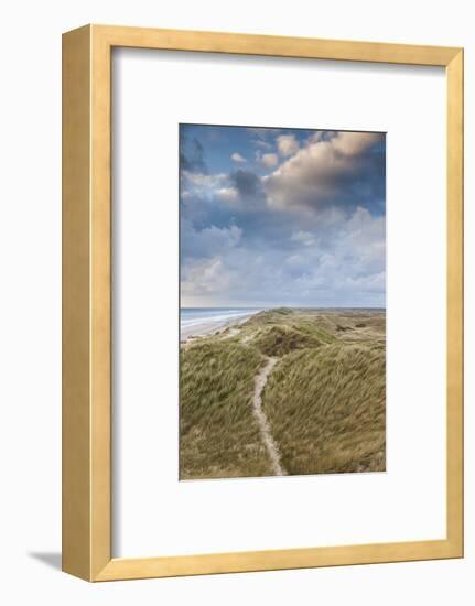 Denmark, Jutland, Danish Riviera, Hvide Sande, Coastal Dunes, Dusk-Walter Bibikow-Framed Photographic Print