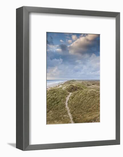 Denmark, Jutland, Danish Riviera, Hvide Sande, Coastal Dunes, Dusk-Walter Bibikow-Framed Photographic Print