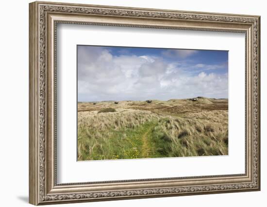 Denmark, Jutland, Hantsholm, Ww2-Era German Atlantic Wall Bunkers and Coastal Artillery-Walter Bibikow-Framed Photographic Print