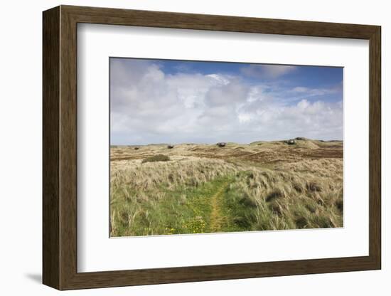 Denmark, Jutland, Hantsholm, Ww2-Era German Atlantic Wall Bunkers and Coastal Artillery-Walter Bibikow-Framed Photographic Print