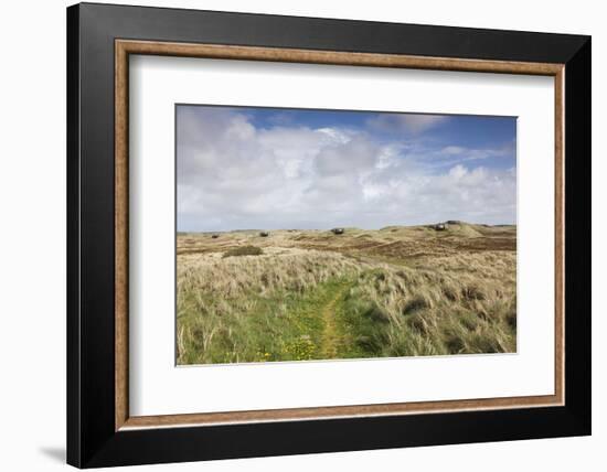 Denmark, Jutland, Hantsholm, Ww2-Era German Atlantic Wall Bunkers and Coastal Artillery-Walter Bibikow-Framed Photographic Print