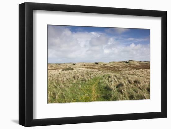 Denmark, Jutland, Hantsholm, Ww2-Era German Atlantic Wall Bunkers and Coastal Artillery-Walter Bibikow-Framed Photographic Print