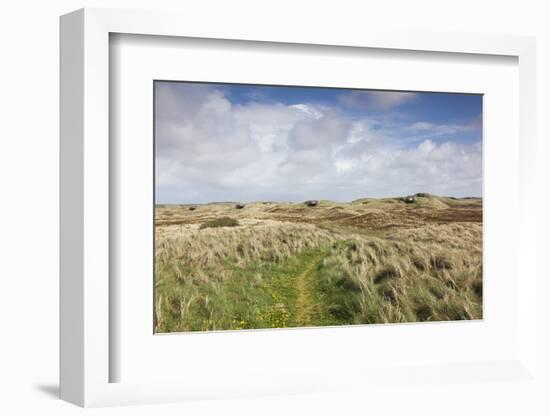 Denmark, Jutland, Hantsholm, Ww2-Era German Atlantic Wall Bunkers and Coastal Artillery-Walter Bibikow-Framed Photographic Print