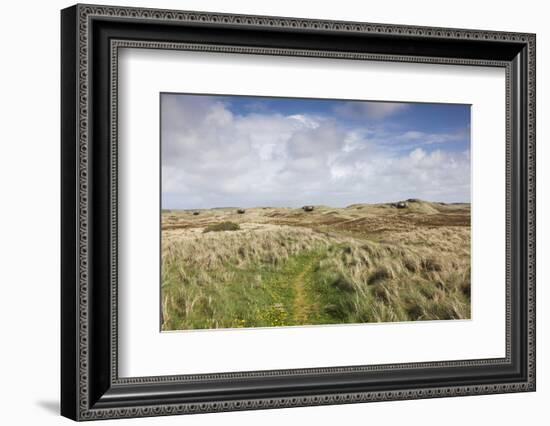 Denmark, Jutland, Hantsholm, Ww2-Era German Atlantic Wall Bunkers and Coastal Artillery-Walter Bibikow-Framed Photographic Print