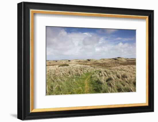 Denmark, Jutland, Hantsholm, Ww2-Era German Atlantic Wall Bunkers and Coastal Artillery-Walter Bibikow-Framed Photographic Print