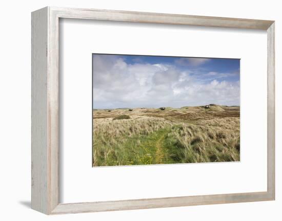 Denmark, Jutland, Hantsholm, Ww2-Era German Atlantic Wall Bunkers and Coastal Artillery-Walter Bibikow-Framed Photographic Print