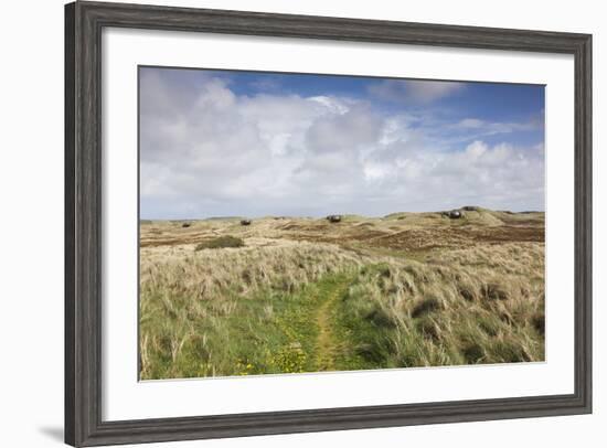 Denmark, Jutland, Hantsholm, Ww2-Era German Atlantic Wall Bunkers and Coastal Artillery-Walter Bibikow-Framed Photographic Print