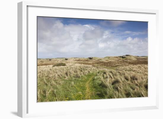 Denmark, Jutland, Hantsholm, Ww2-Era German Atlantic Wall Bunkers and Coastal Artillery-Walter Bibikow-Framed Photographic Print