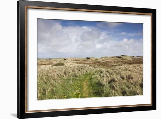 Denmark, Jutland, Hantsholm, Ww2-Era German Atlantic Wall Bunkers and Coastal Artillery-Walter Bibikow-Framed Photographic Print