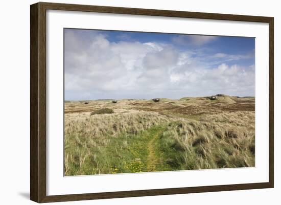 Denmark, Jutland, Hantsholm, Ww2-Era German Atlantic Wall Bunkers and Coastal Artillery-Walter Bibikow-Framed Photographic Print