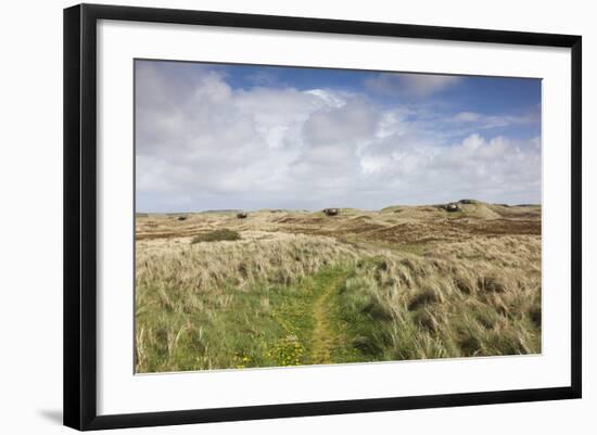 Denmark, Jutland, Hantsholm, Ww2-Era German Atlantic Wall Bunkers and Coastal Artillery-Walter Bibikow-Framed Photographic Print