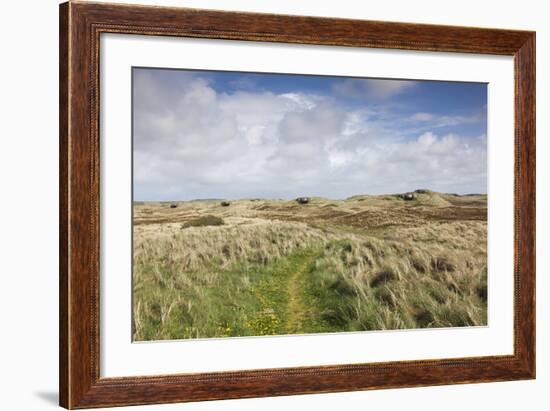 Denmark, Jutland, Hantsholm, Ww2-Era German Atlantic Wall Bunkers and Coastal Artillery-Walter Bibikow-Framed Photographic Print