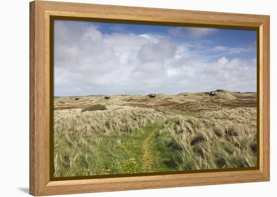 Denmark, Jutland, Hantsholm, Ww2-Era German Atlantic Wall Bunkers and Coastal Artillery-Walter Bibikow-Framed Premier Image Canvas