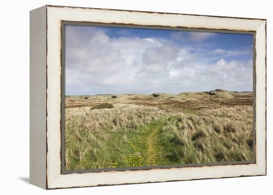 Denmark, Jutland, Hantsholm, Ww2-Era German Atlantic Wall Bunkers and Coastal Artillery-Walter Bibikow-Framed Premier Image Canvas