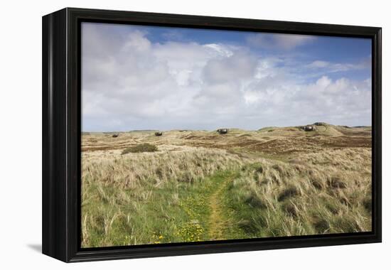 Denmark, Jutland, Hantsholm, Ww2-Era German Atlantic Wall Bunkers and Coastal Artillery-Walter Bibikow-Framed Premier Image Canvas