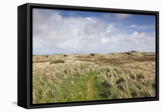 Denmark, Jutland, Hantsholm, Ww2-Era German Atlantic Wall Bunkers and Coastal Artillery-Walter Bibikow-Framed Premier Image Canvas