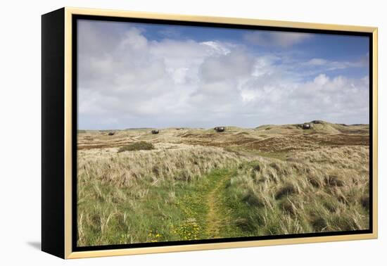 Denmark, Jutland, Hantsholm, Ww2-Era German Atlantic Wall Bunkers and Coastal Artillery-Walter Bibikow-Framed Premier Image Canvas