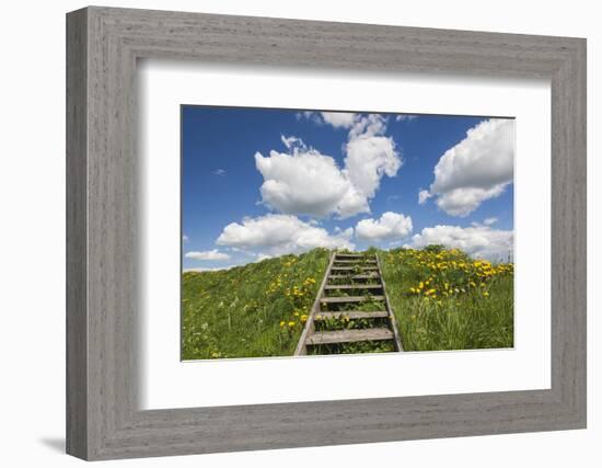 Denmark, Jutland, Hobro, Fyrkat, Remnants of Fyrkat Viking Fortress-Walter Bibikow-Framed Photographic Print