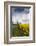 Denmark, Jutland, Oslos, Town Church with Rapeseed Field, Springtime-Walter Bibikow-Framed Photographic Print