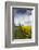 Denmark, Jutland, Oslos, Town Church with Rapeseed Field, Springtime-Walter Bibikow-Framed Photographic Print