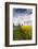 Denmark, Jutland, Oslos, Town Church with Rapeseed Field, Springtime-Walter Bibikow-Framed Photographic Print