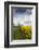 Denmark, Jutland, Oslos, Town Church with Rapeseed Field, Springtime-Walter Bibikow-Framed Photographic Print